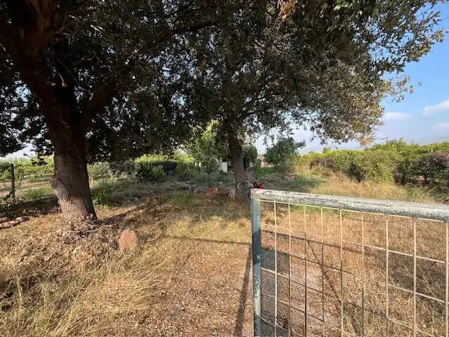 Terreno rustico in vendita a Este, imagen 4