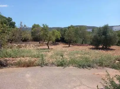 Terreny rústic en venda a PT S 7, imagen 8
