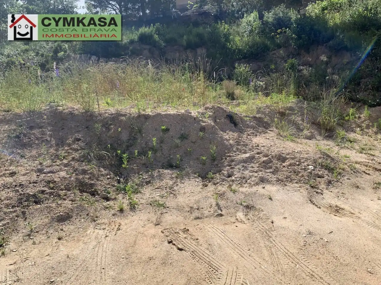 Terreno rustico in vendita a Montbarbat, imagen 5