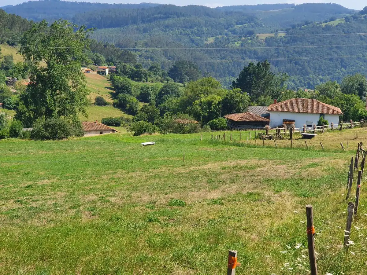 Terrenos y solares en venta en Salas, imagen 5
