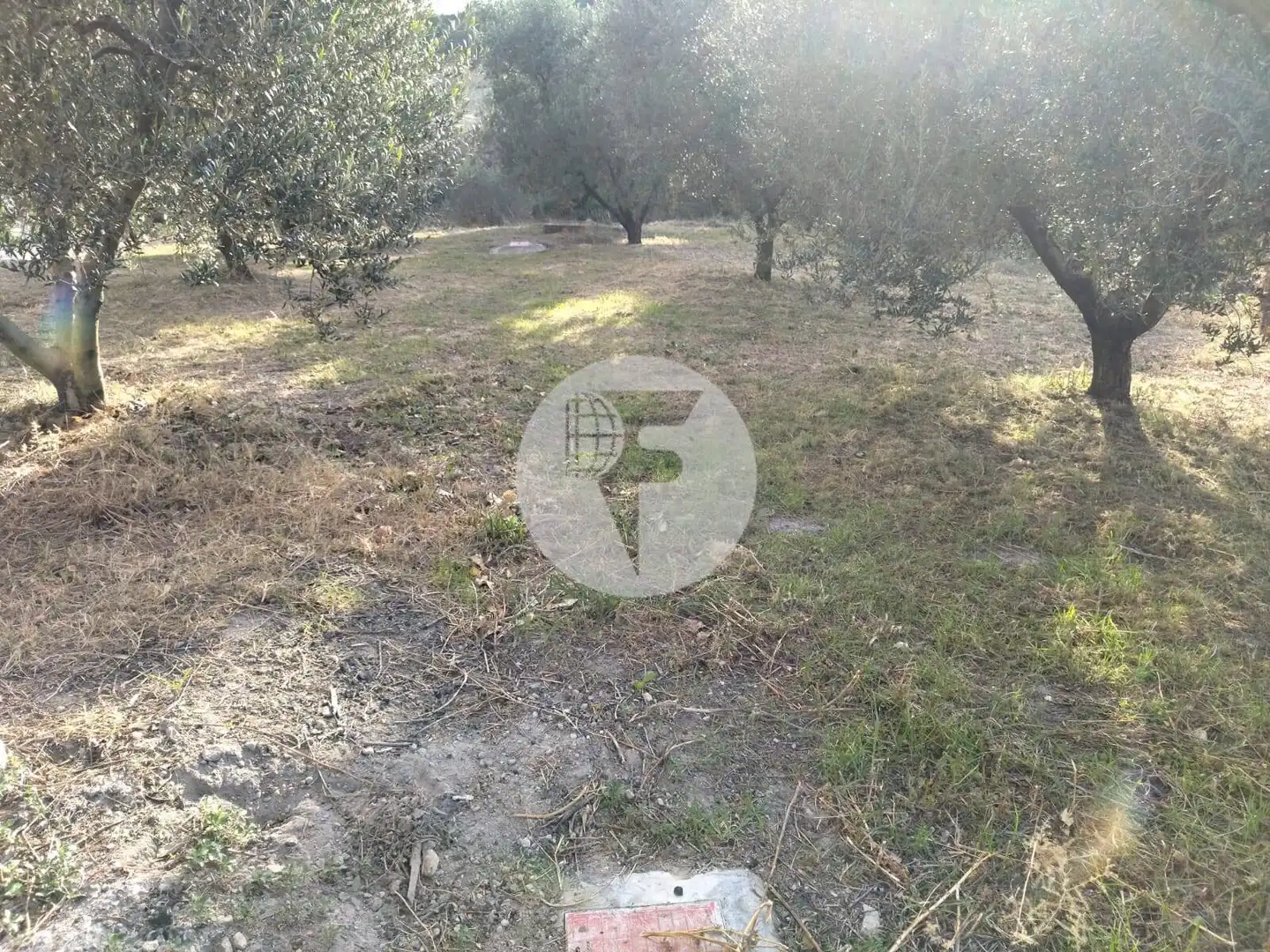 Casa rústica en venda a Sant Martí Sarroca, imagen 42