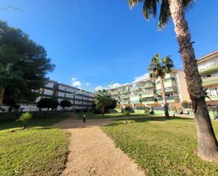 Vista exterior de Planta baixa de lloguer en L'Alfàs del Pi amb Terrassa