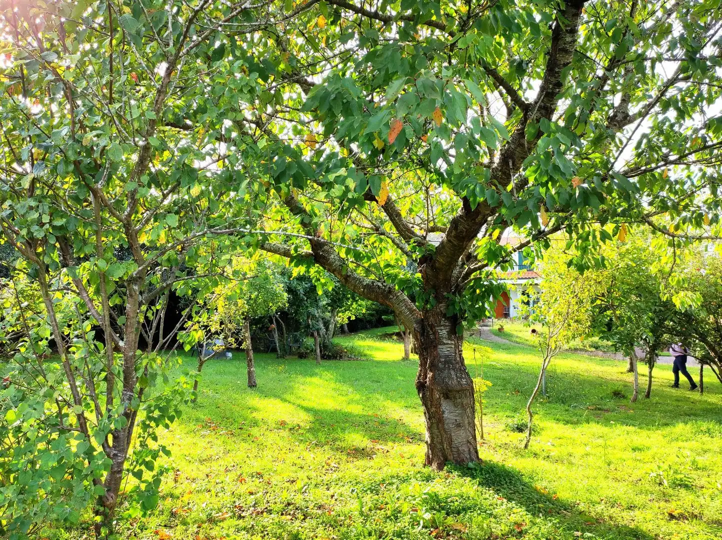 Jardín de Casa o chalet en venta en Bergondo con Calefacción, Jardín privado y Parquet