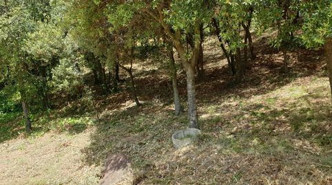 GRAN TERRENO DE 3.000 M2!, immagine 5