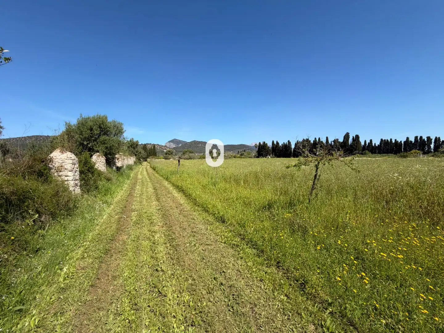 Finca rústica en venta en Binissalem