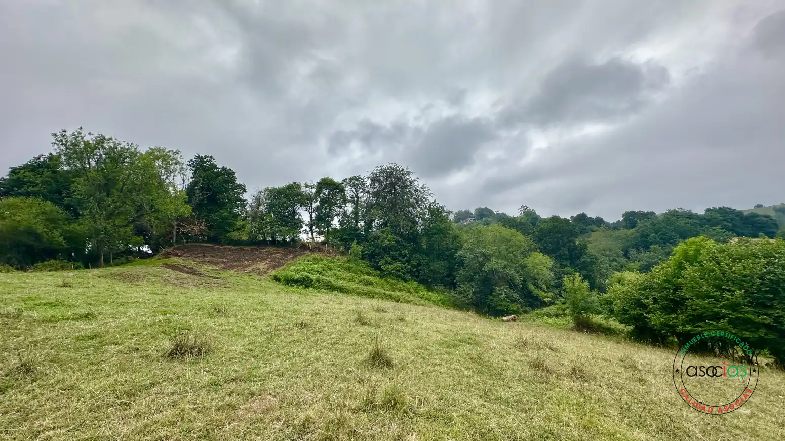 Terreno rustico in vendita a Cabranes - TORAZO, imagen 5