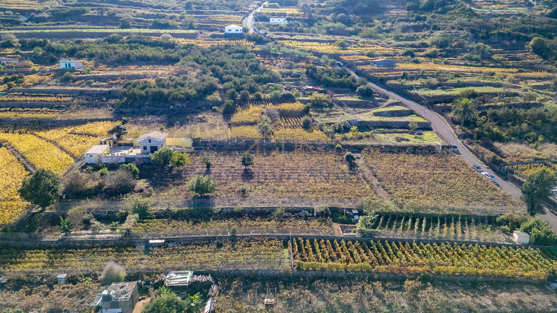 Finca rústica en venda en Santa Úrsula amb Terrassa