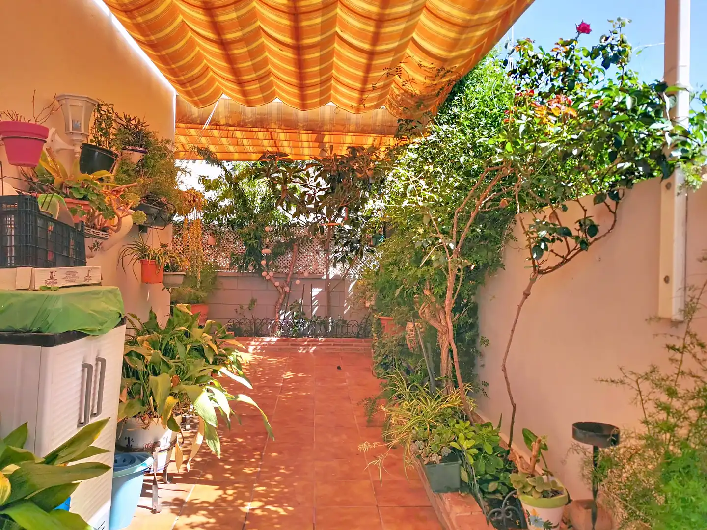 Garden of Detached homes for sale in Fuengirola  with Air Conditioner, Storage room and Community pool