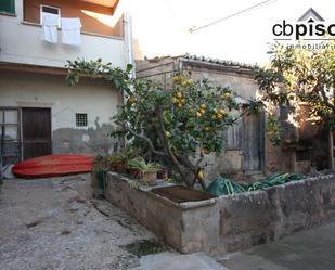 Vista exterior de Casa o xalet en venda en  Palma de Mallorca amb Jardí privat i Traster