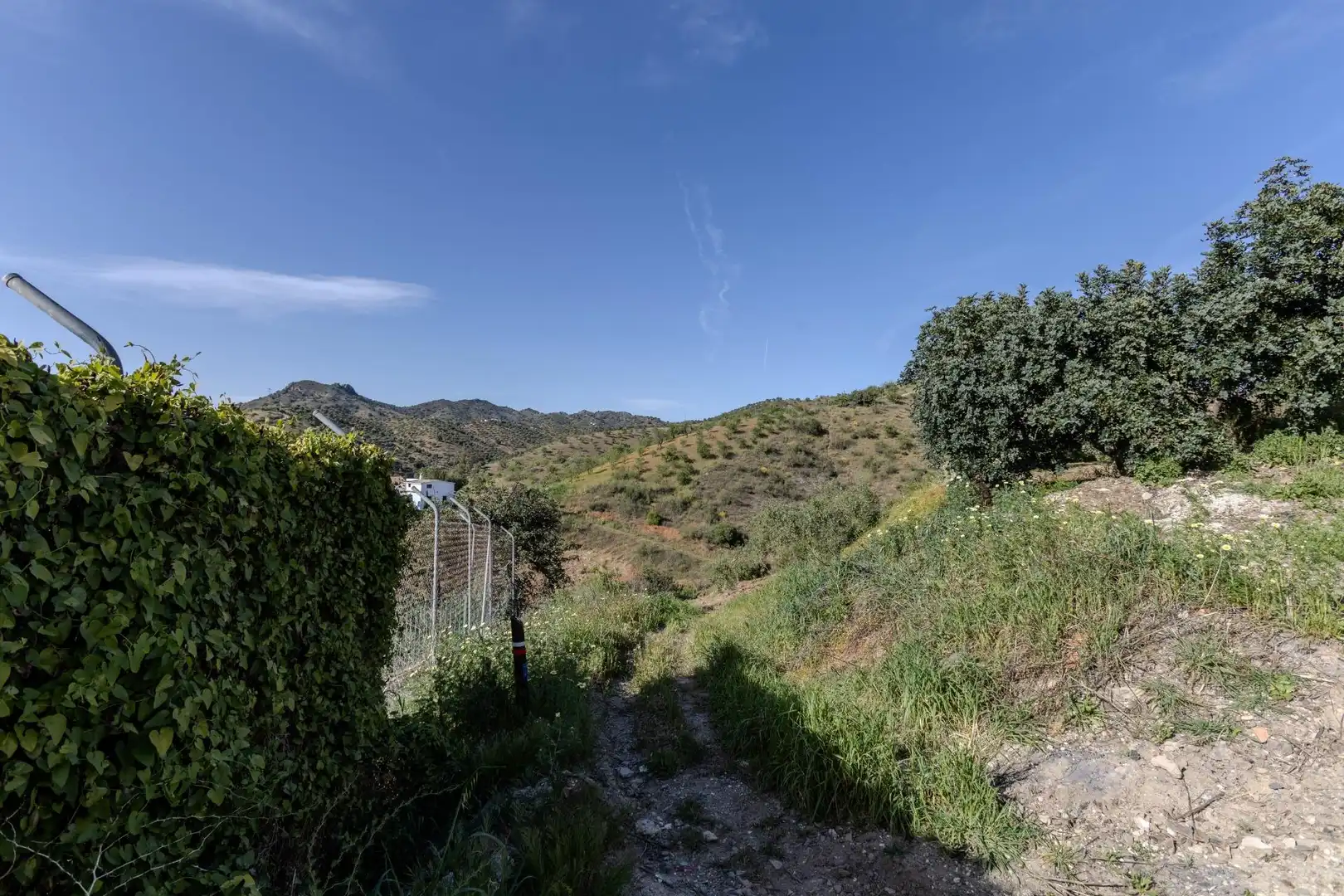 Houses for sale in Almogía