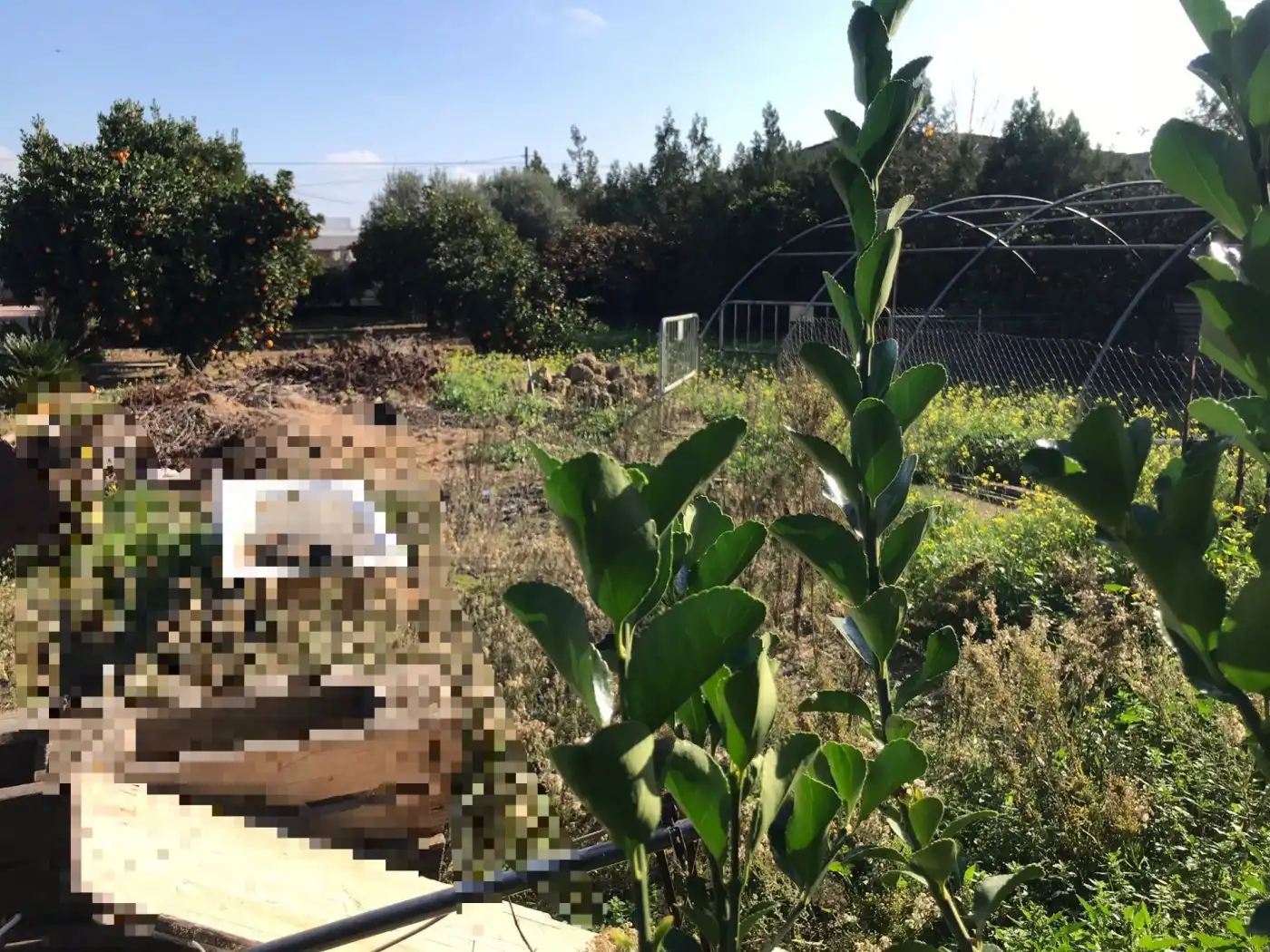 Lands and plots for sale in Periurbano Oeste - Sierra, imagen 3