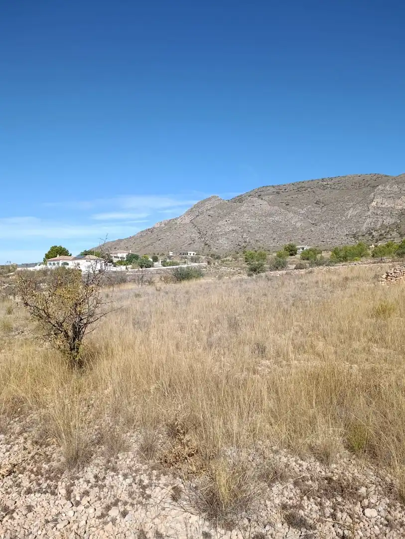 Terreno rustico in vendita a Hondón de las Nieves / El Fondó de les Neus, imagen 28