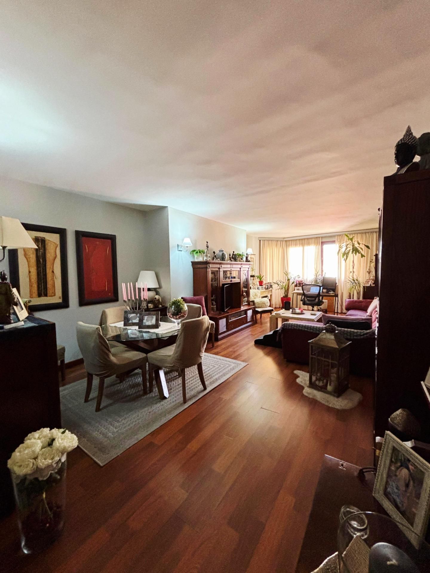Sala de estar de Piso en venta en  Palma de Mallorca con Aire acondicionado, Jardín privado y Parquet