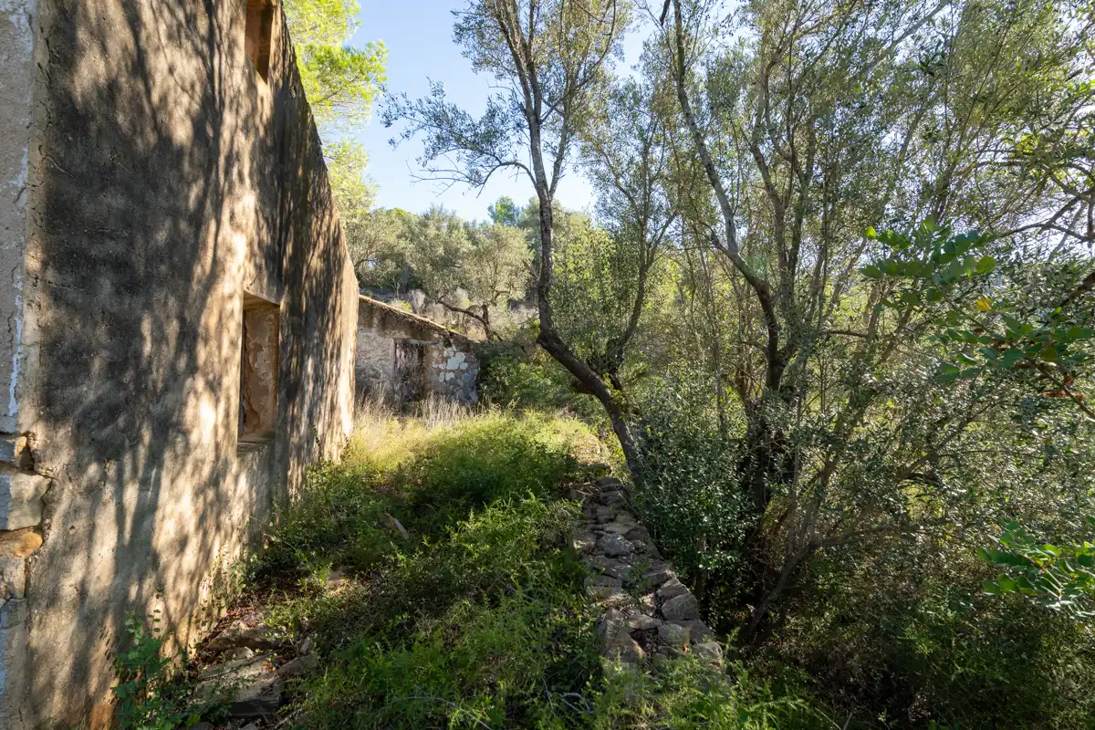 Terreny rústic en venda a Camí de la Potra de Pino 28, imagen 10