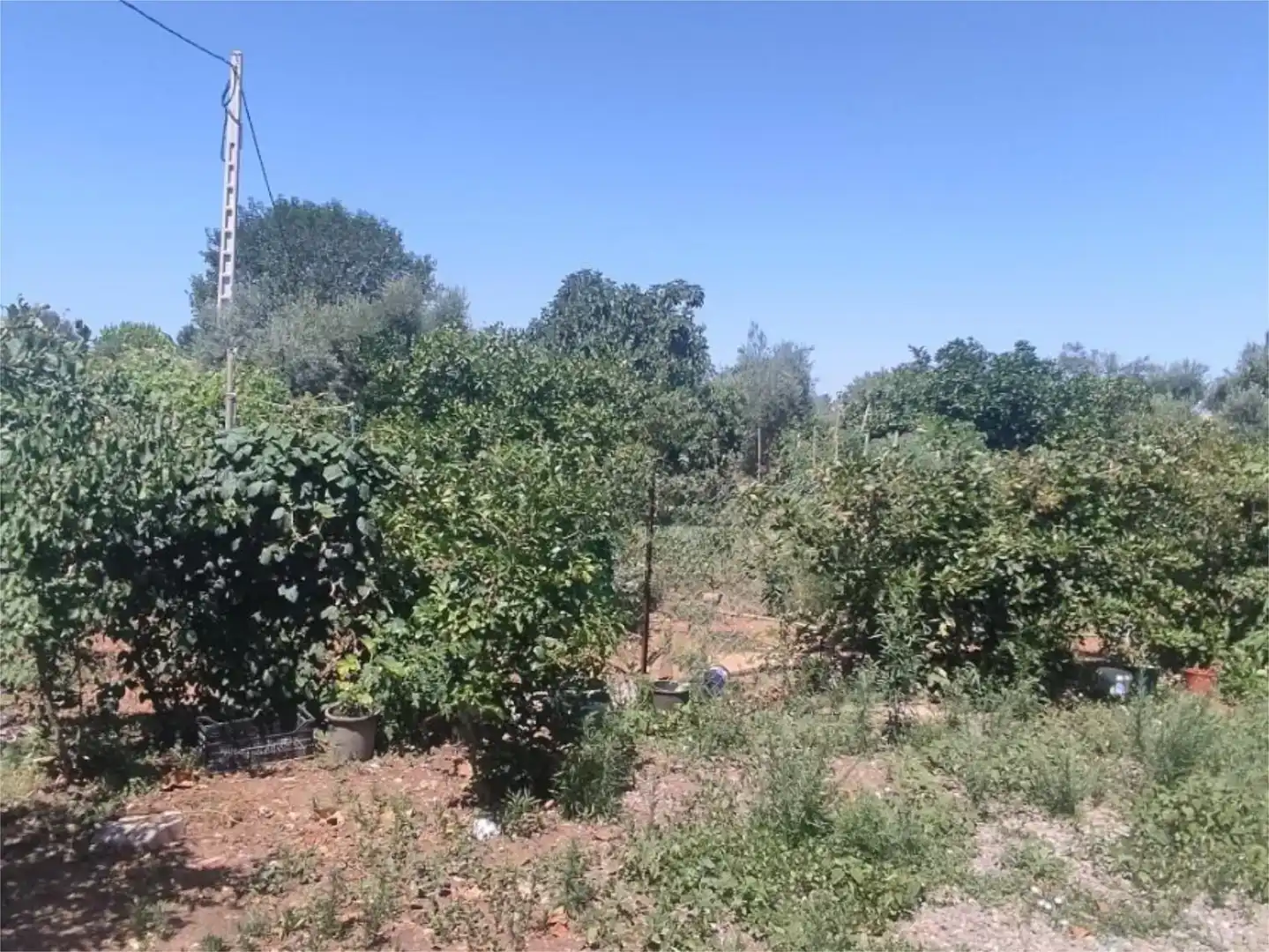 Terreno en venta en Villamartín, Cádiz