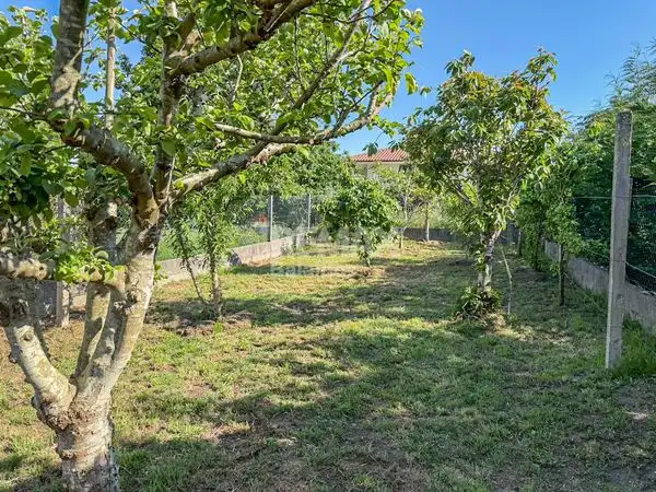 Casa con jardín en venta en Avenida Paseo Portugal, imagen 21