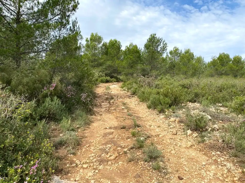 Terreno residencial en venta en 7, imagen 6