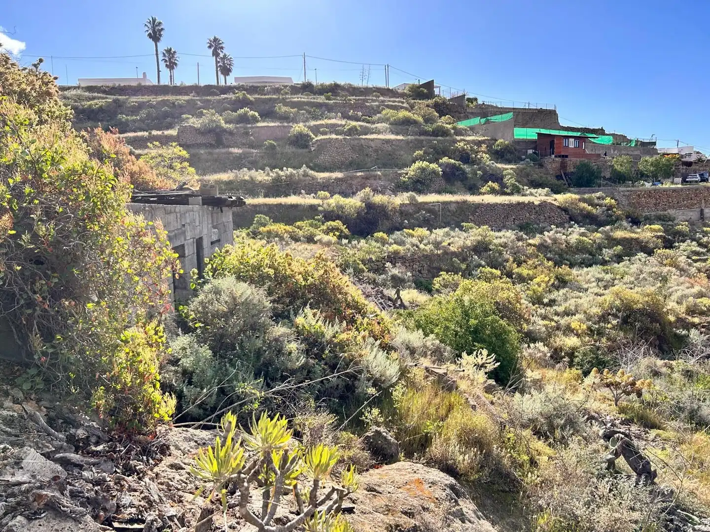 Land for sale in Fasnia