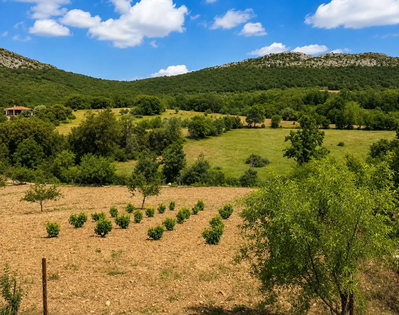 Rural land for sale in Navahermosa, imagen 33