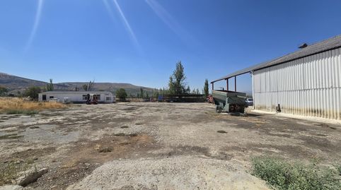 Finca de 7000m2 con 2000m2 de nave en el puente de la cerrada, termino de Ubeda., imatge 4