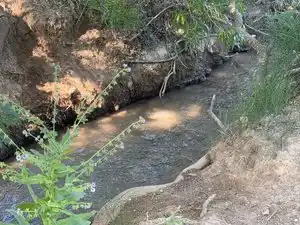 Terreno rustico in vendita a Carrer Sant Pere 1, imagen 15