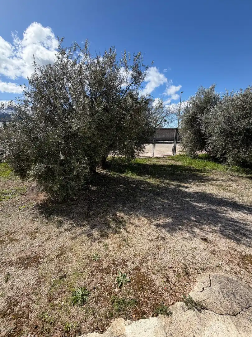 Finca rústica en venta en Iznalloz