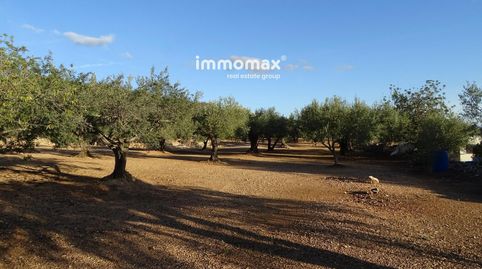 Finca rústica en venta en Xerta con agua, immagine 4