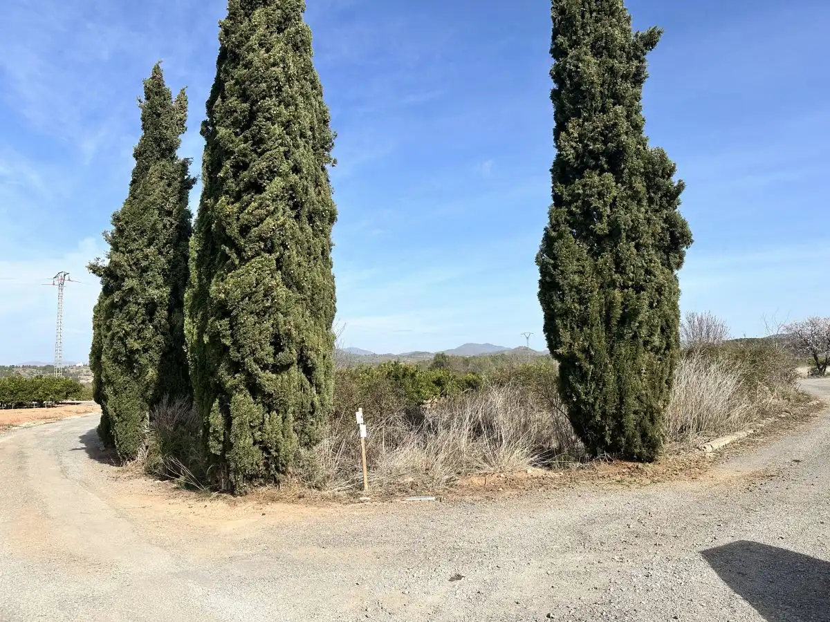 Terreno residencial en venta en Algímia de Alfara, imagen 2