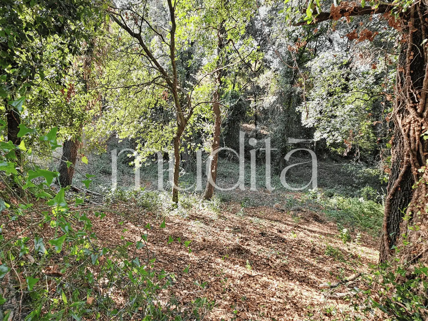 Residential land for sale in del Xaloc, imagen 21