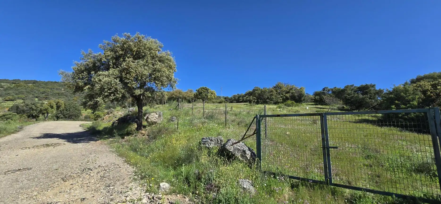 Terrenys i solars en venda a San Agustín del Guadalix pueblo, imagen 12