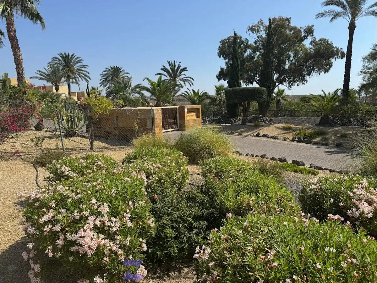 Detached homes for rent in Av. Valle del Sol, Golf Valle Este