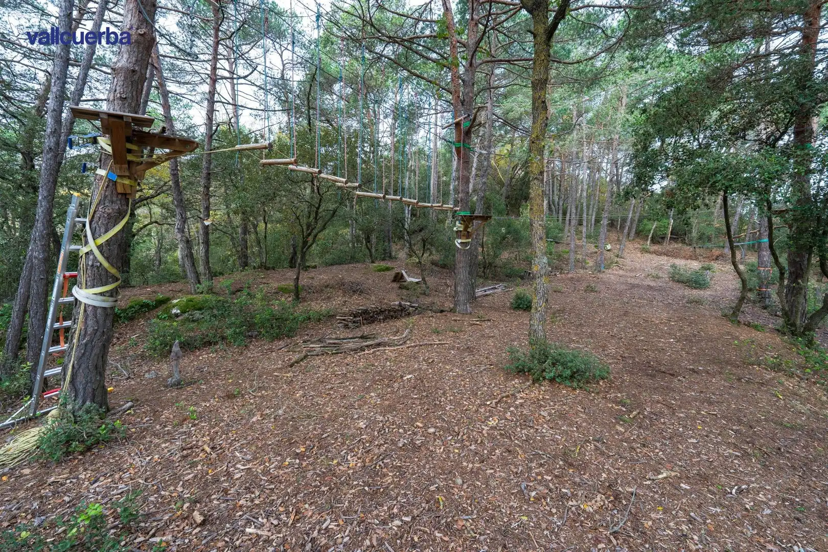 Terreno rústico en venta en Prades, imagen 19