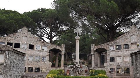 CardedeuTerreno, immagine 4