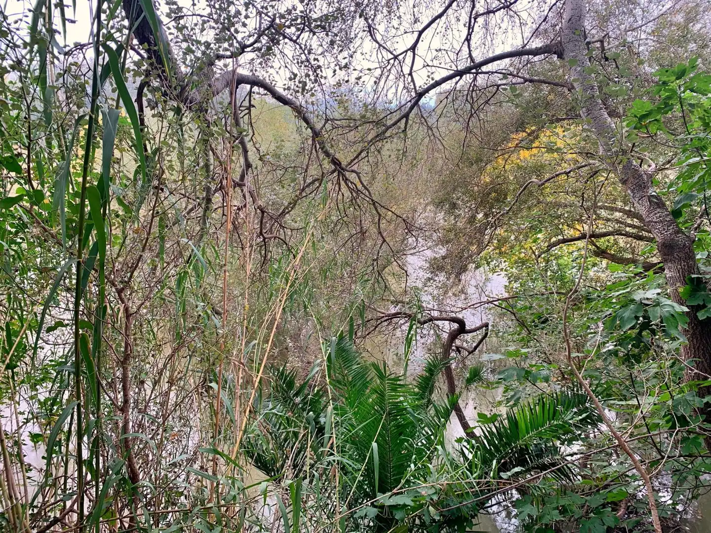 Vista exterior de Finca rústica en venda en Tortosa
