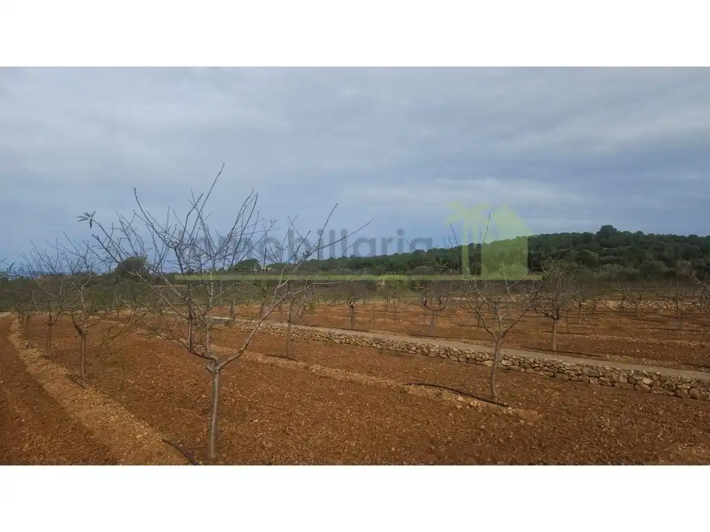 Wohnbaugrundstück zum Verkauf in Ulldecona, imagen 14