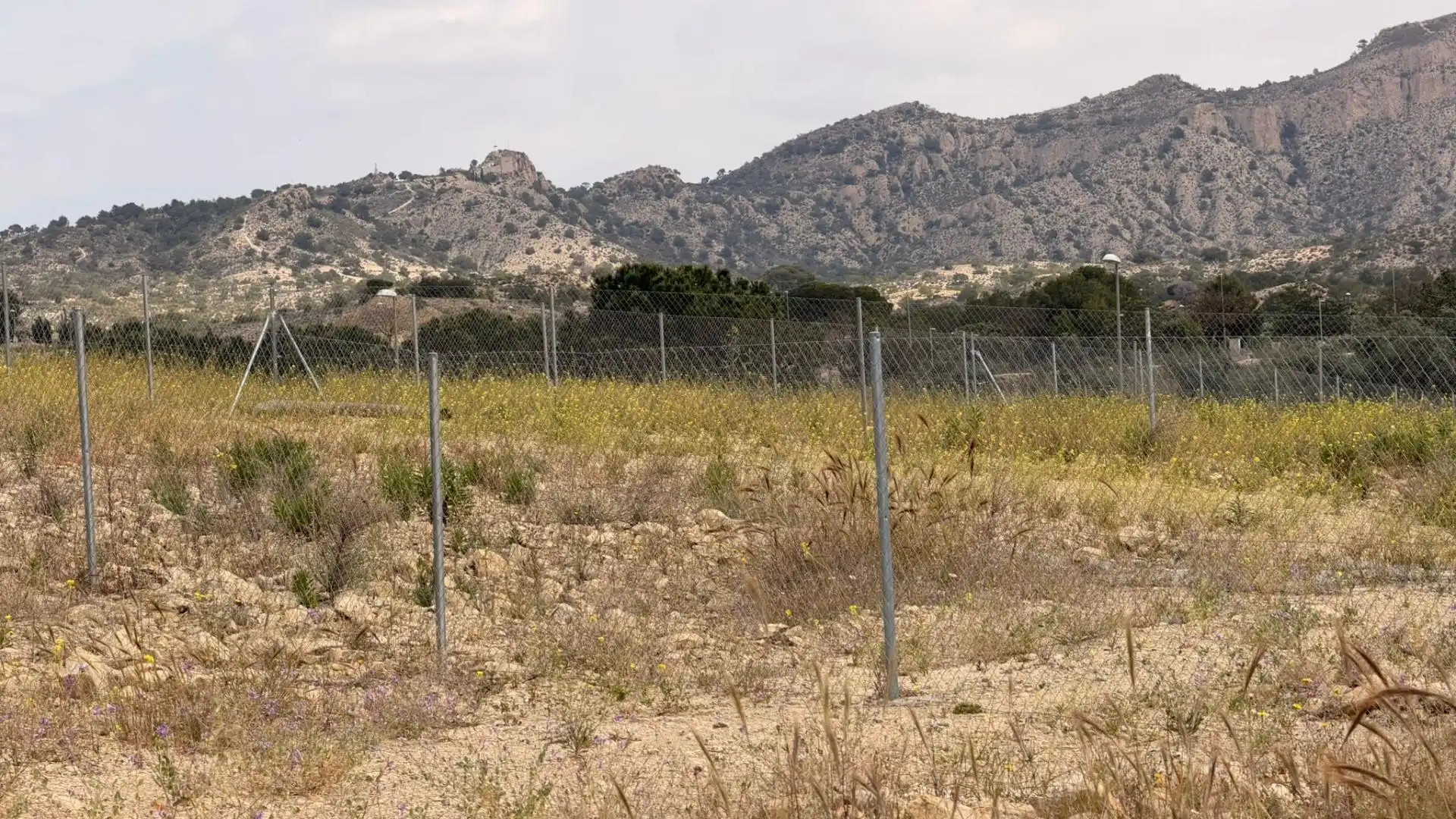 Terreno residencial en venta en Monforte del Cid, imagen 2