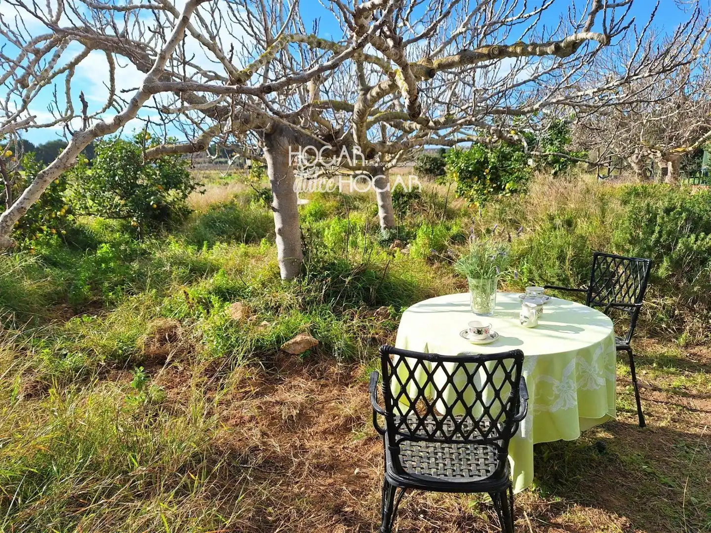 Villa à vendre à Polígono 5, imagen 39