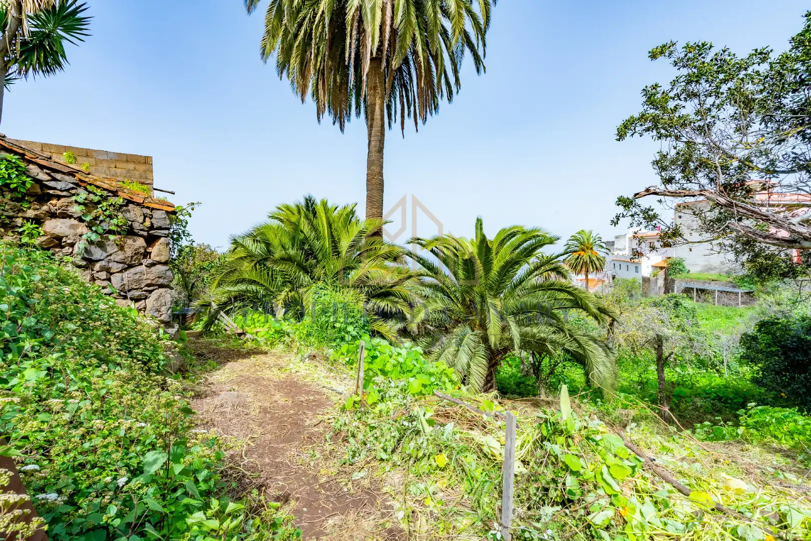 Jardí de Finca rústica en venda en La Victoria de Acentejo