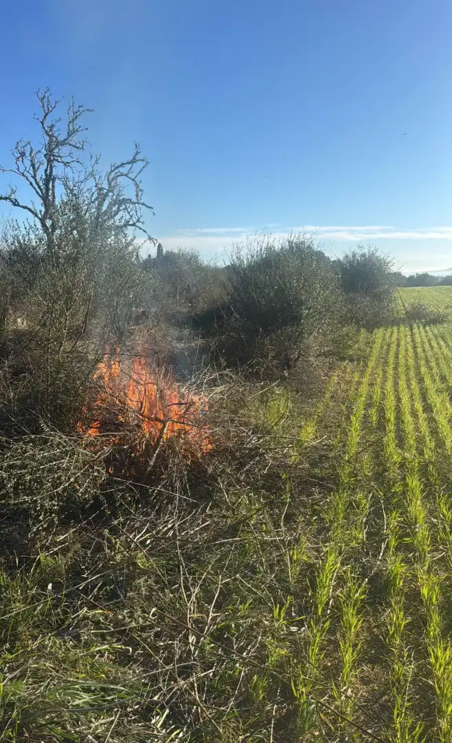 Terreno en venta en Vilafranca de Bonany