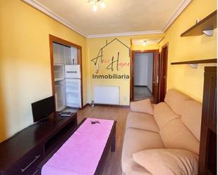 Living room of Apartment to rent in Villamayor  with Heating and Furnished