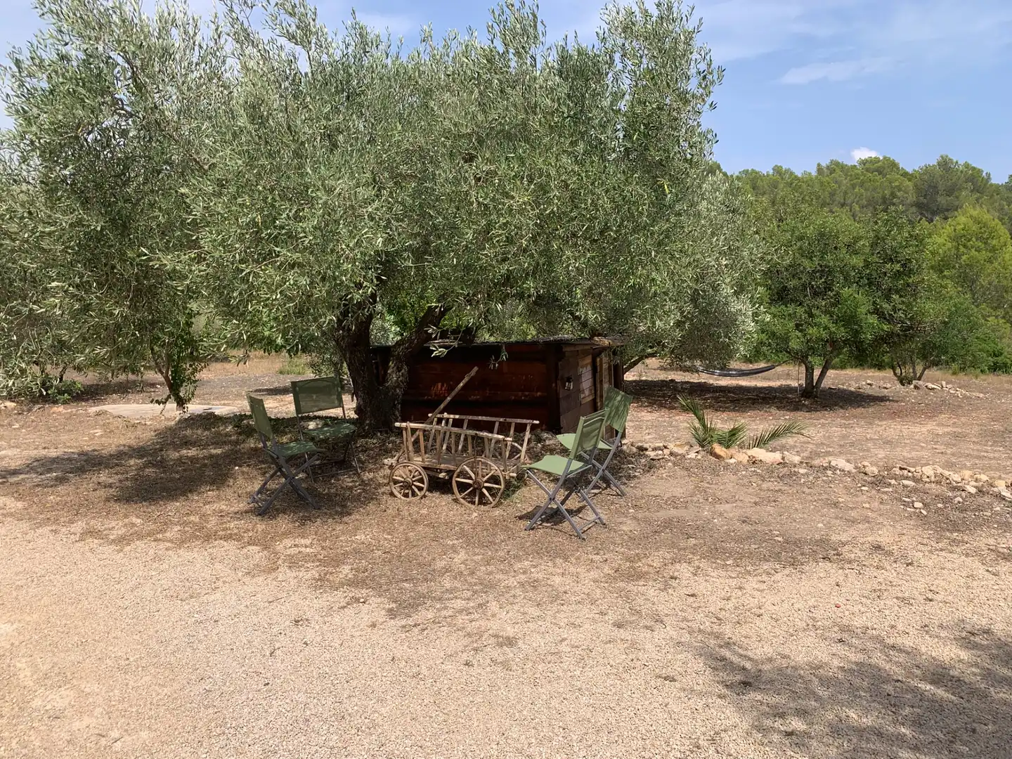 Garden of Country homes for sale in Tivissa  with Terrace