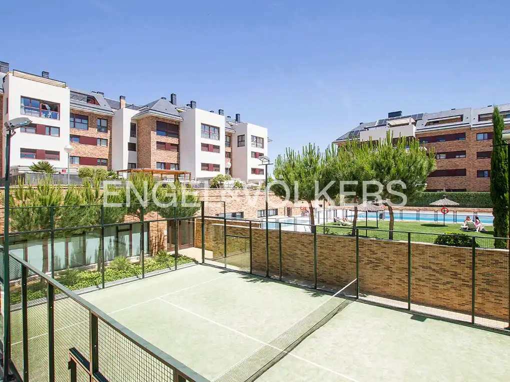Terraza de Ático de alquiler en Zona Monte El Pilar