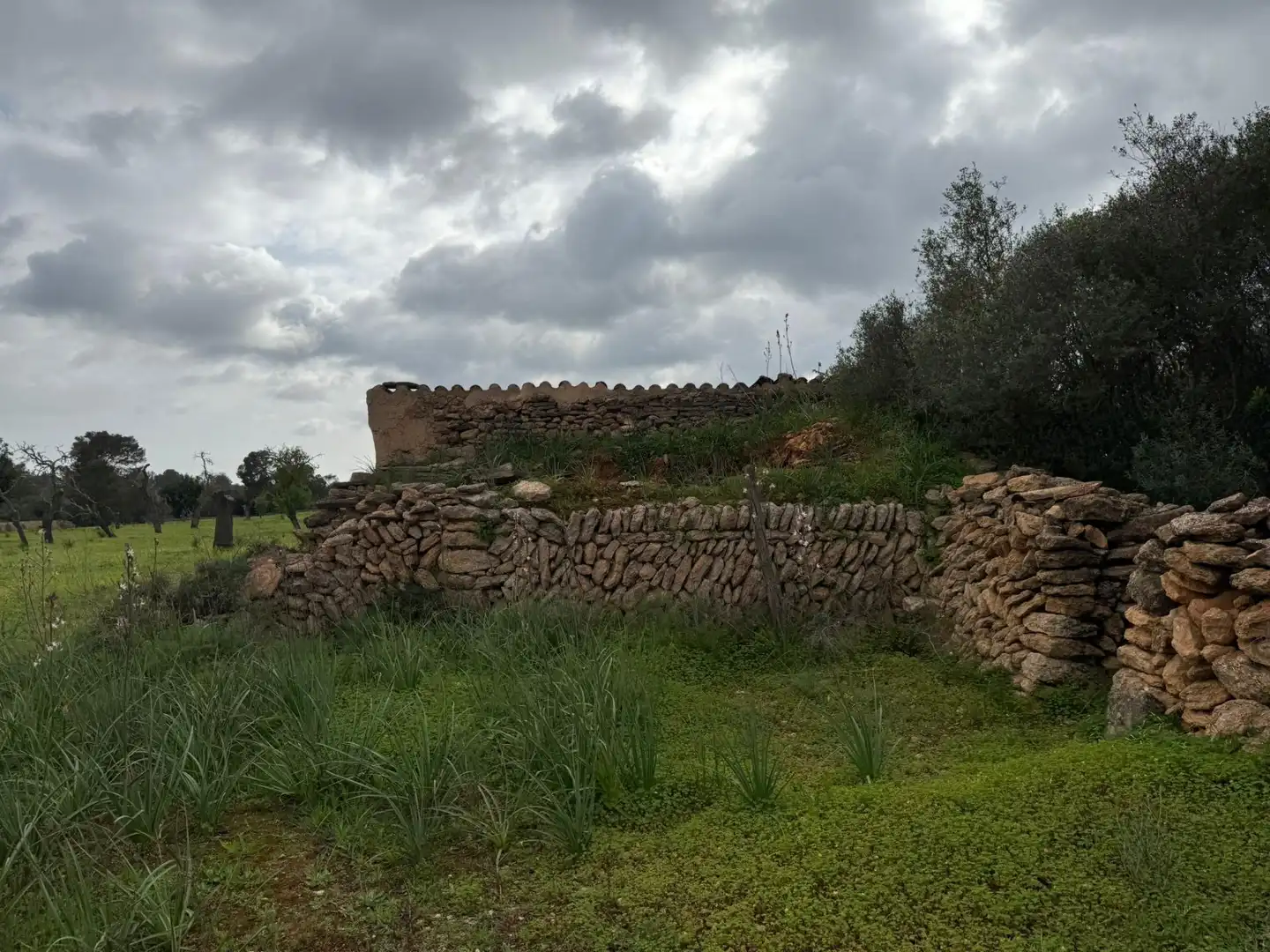 Terreno rustico in vendita a Llucmajor pueblo, imagen 6