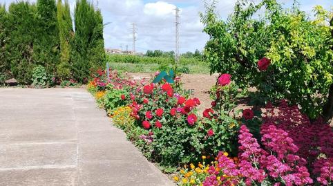 Photo 2 of Houses for sale in Centre Històric,  Lleida Capital