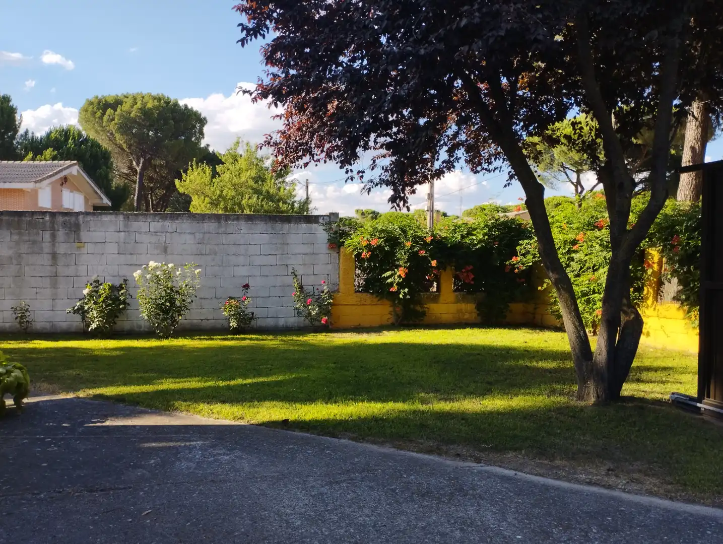 House with garden for sale in Urbanización las Salinas 1, imagen 4