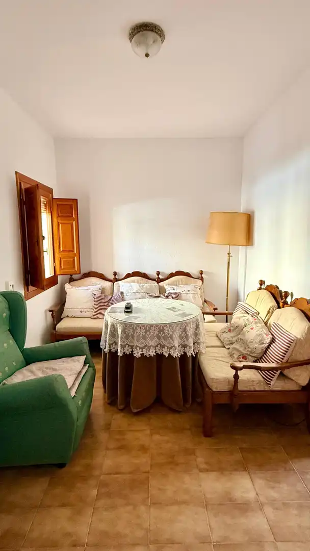 Sala de estar de Casa o chalet en venta en Albox