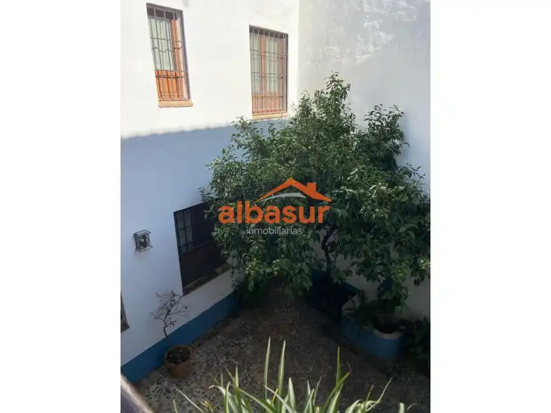 Vista exterior de Dúplex en venda en Córdoba amb Aire condicionat, Calefacció i Parquet
