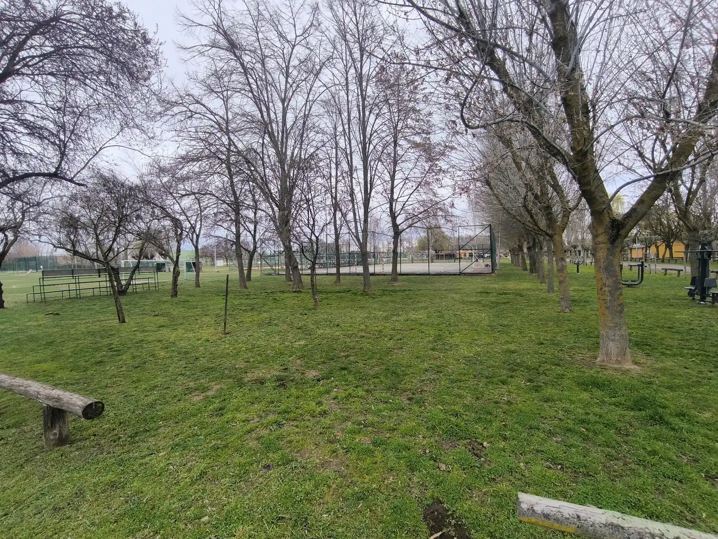 Casa o chalet en venta en Villarejo de Órbigo