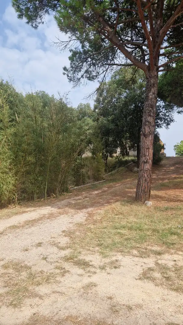 Residential land for sale in Avinguda Farners 1, imagen 6