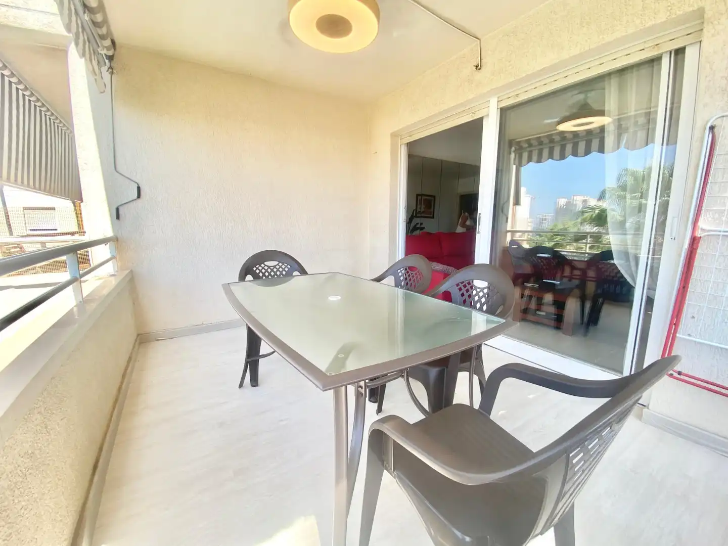 Mini appartamento con piscina in affitto a Playa de San Juan - El Cabo de las Huertas, imagen 4